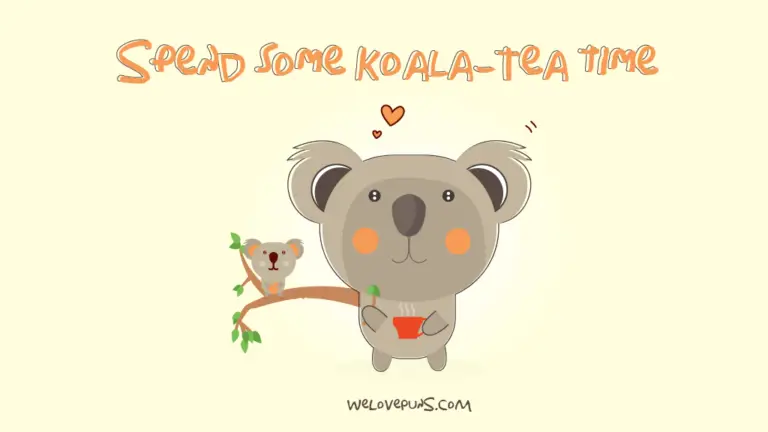 43 Most Hilarious Koala Puns And Jokes Out There